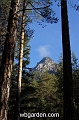 wbgarden alps 29
